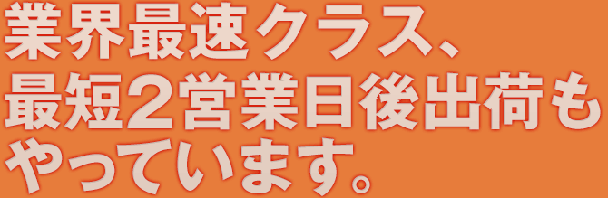 業界最速クラス、最短2営業日後出荷もやっています。